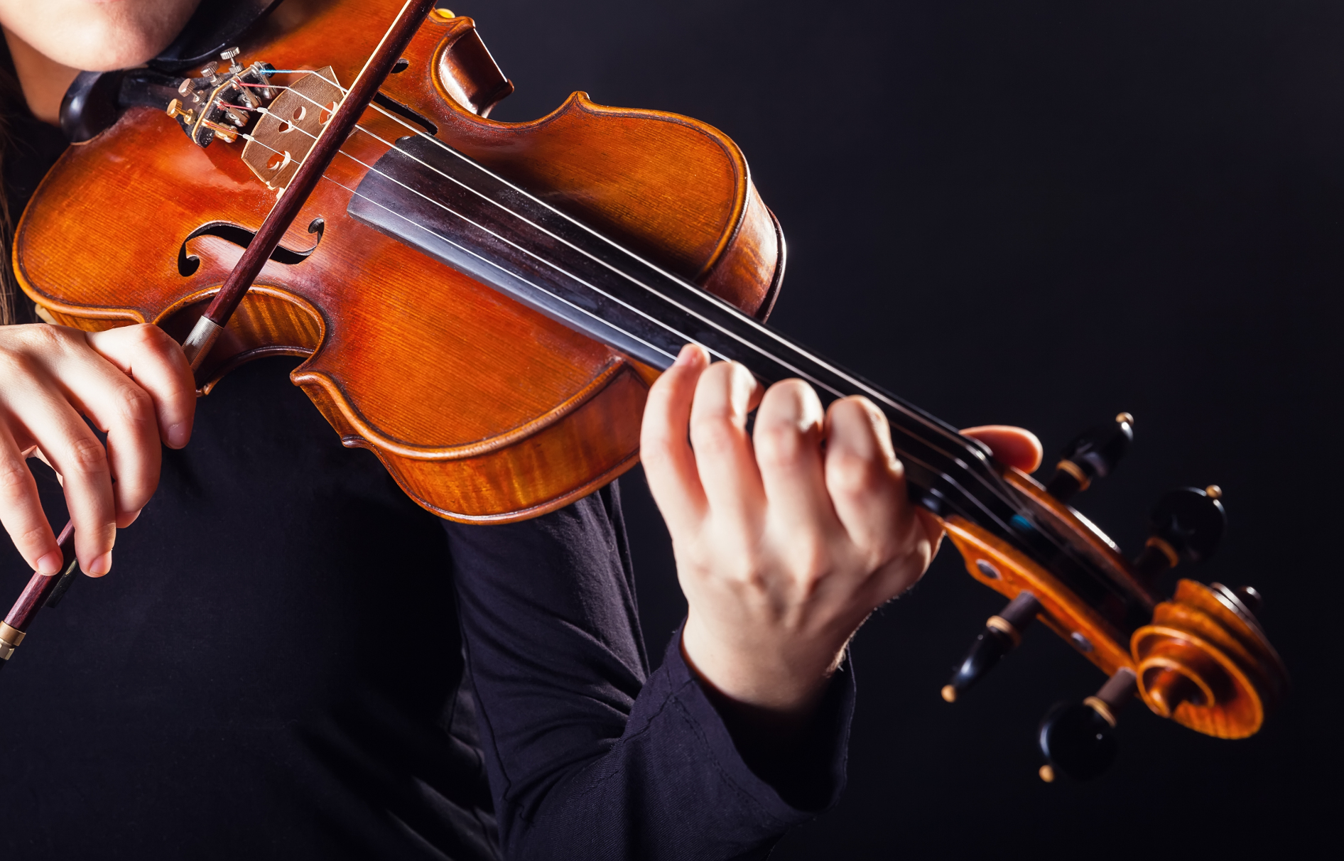 viola