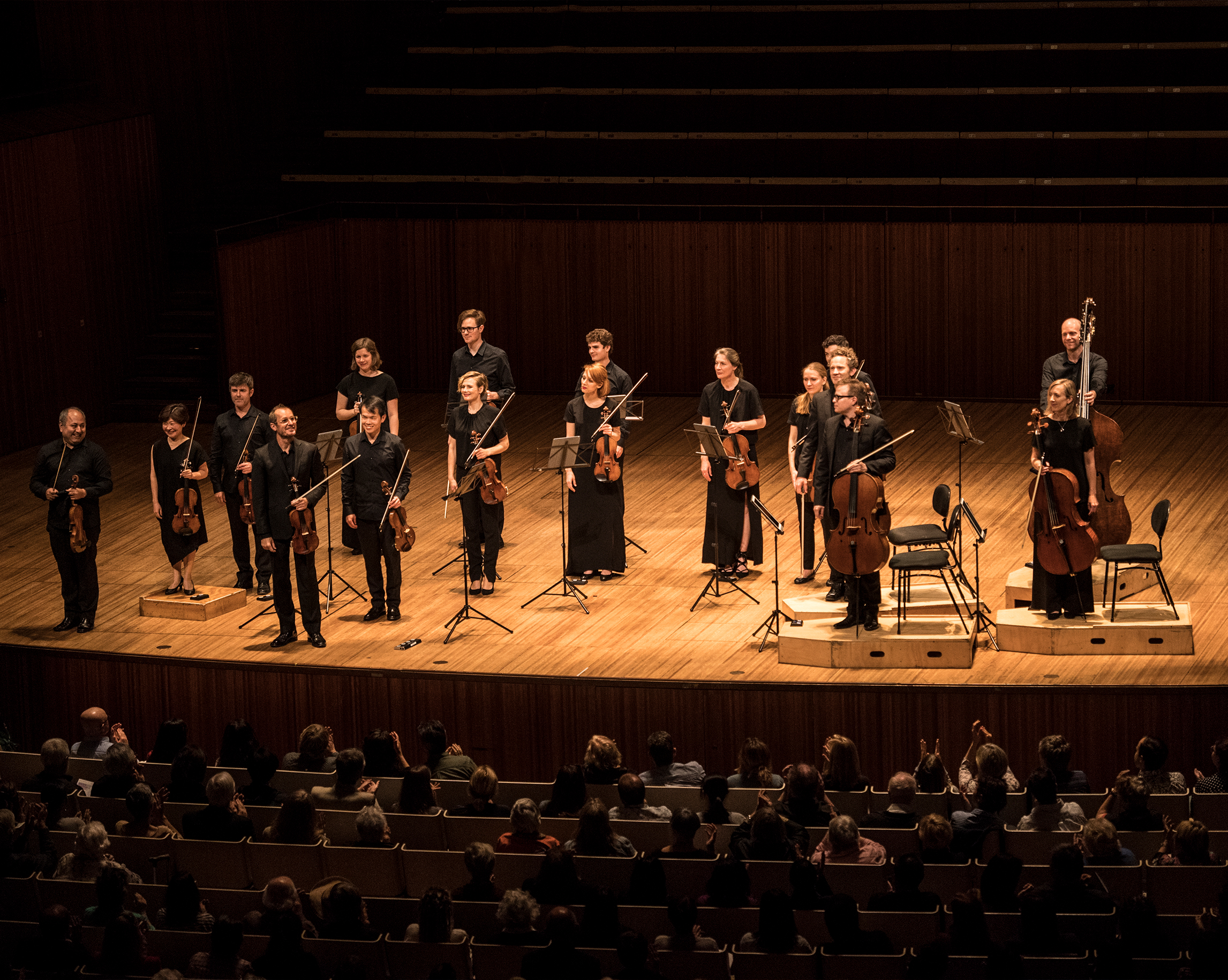 Chamber Orchestra