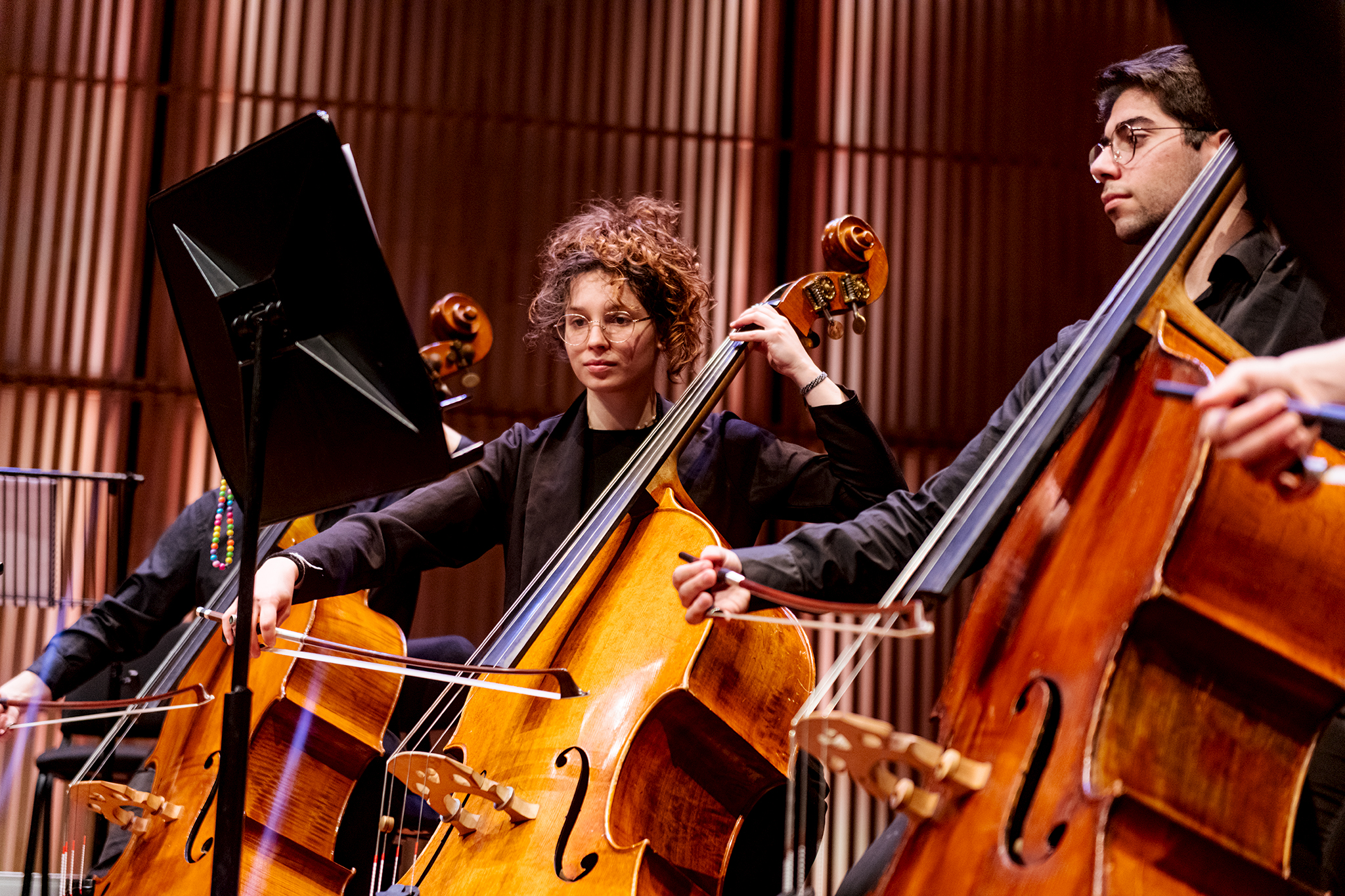 viola