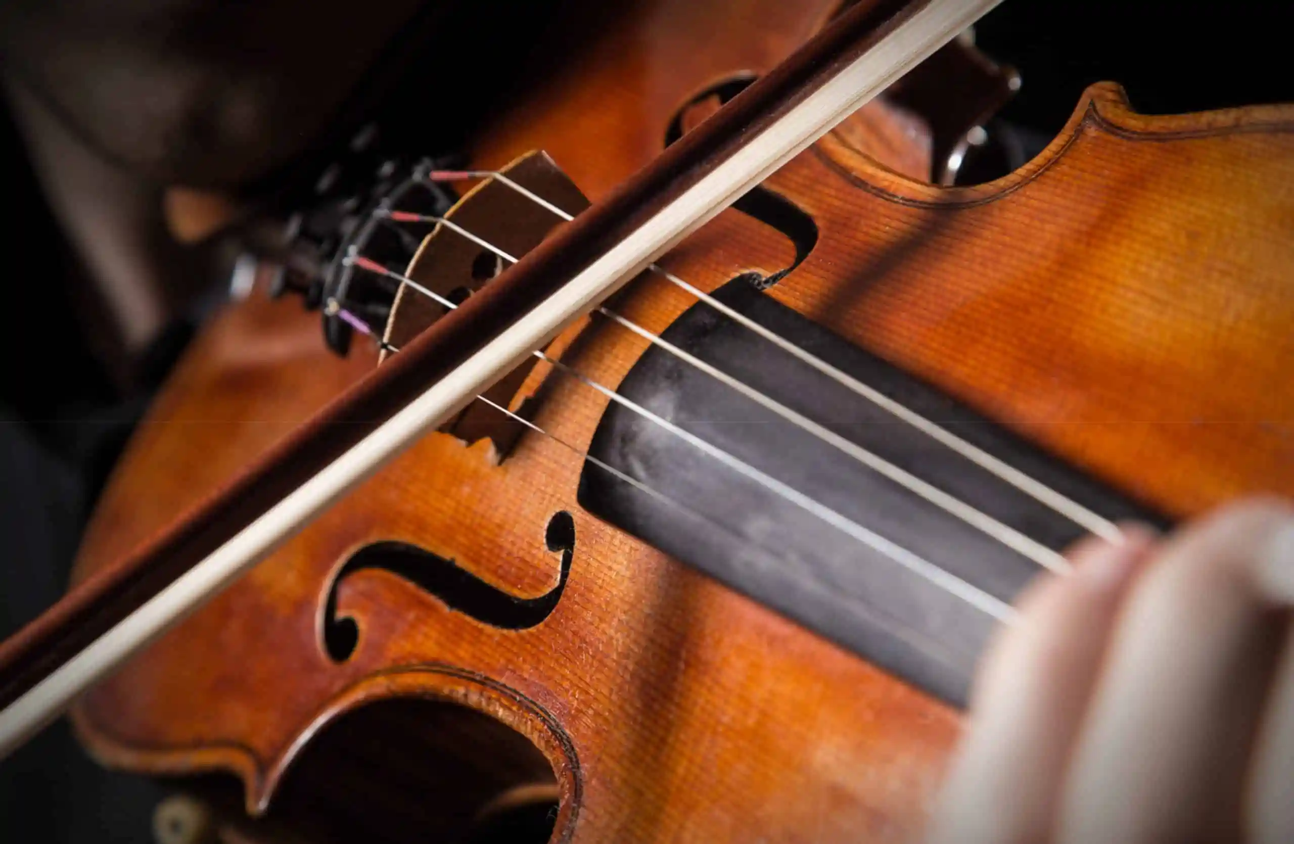 violin